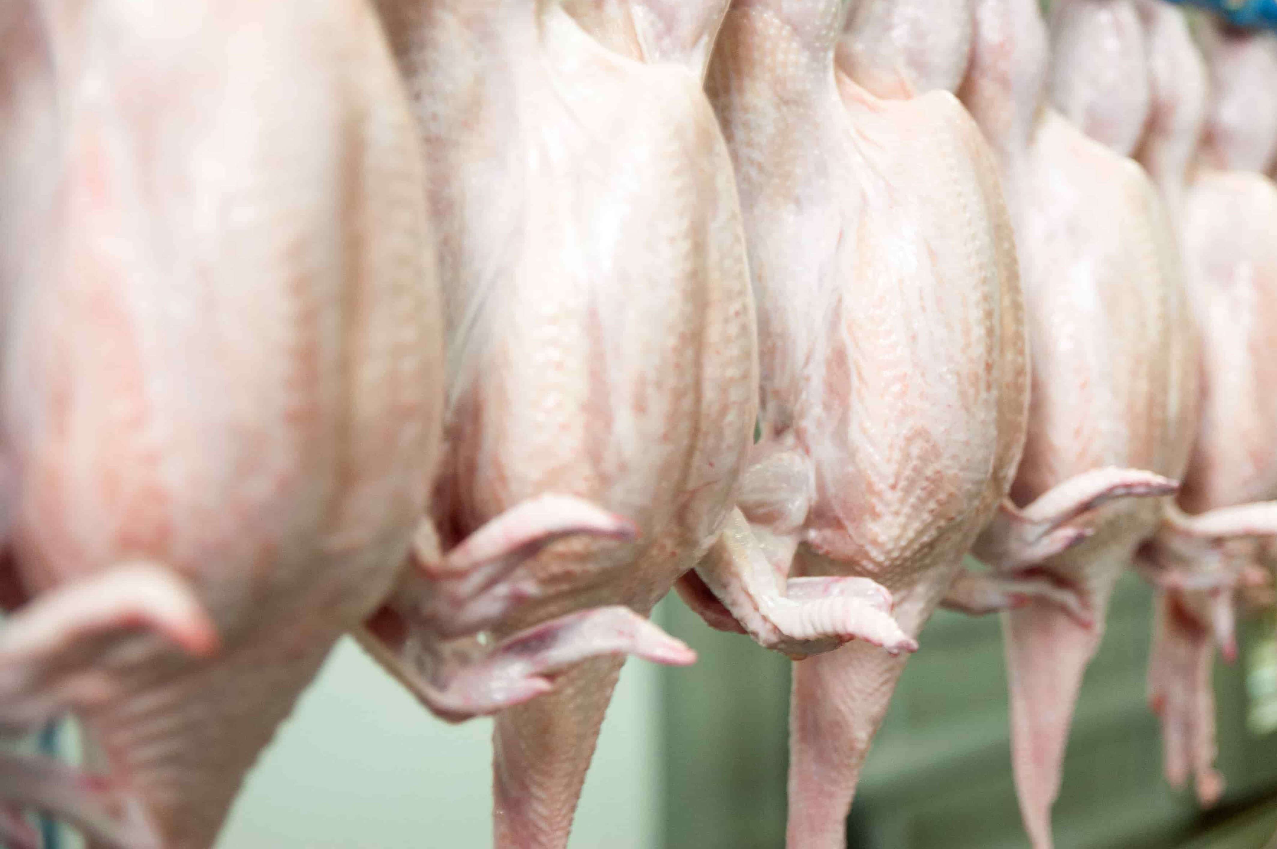 MultiTier Air Chilling BAADER Poultry